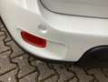 Fiat Panda MY24 Hyb. 1.0 GSE Bluetooth, Einparkh. Bianco - thumbnail 8