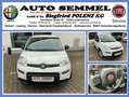 Fiat Panda MY24 Hyb. 1.0 GSE Bluetooth, Einparkh. Bianco - thumbnail 1