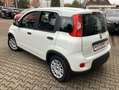 Fiat Panda MY24 Hyb. 1.0 GSE Bluetooth, Einparkh. Bianco - thumbnail 6
