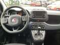 Fiat Panda MY24 Hyb. 1.0 GSE Bluetooth, Einparkh. Bianco - thumbnail 5
