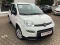 Fiat Panda MY24 Hyb. 1.0 GSE Bluetooth, Einparkh. Bianco - thumbnail 3
