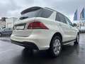 Mercedes-Benz GLE 350 GLE350d 4MATIC AMG LINE PANO TOTWINKEL Weiß - thumbnail 7