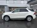 Mercedes-Benz GLE 350 GLE350d 4MATIC AMG LINE PANO TOTWINKEL Fehér - thumbnail 4
