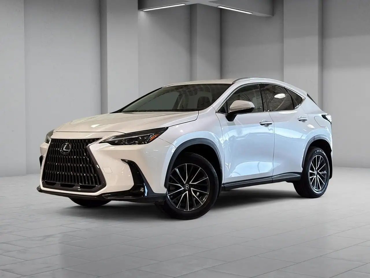 2022 Lexus NX