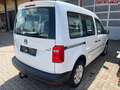 Volkswagen Caddy Conceptline BMT 4Motion 2,0 Ltr. - 90 kW TDI 90... Weiß - thumbnail 5