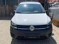 Volkswagen Caddy Conceptline BMT 4Motion 2,0 Ltr. - 90 kW TDI 90... Weiß - thumbnail 8