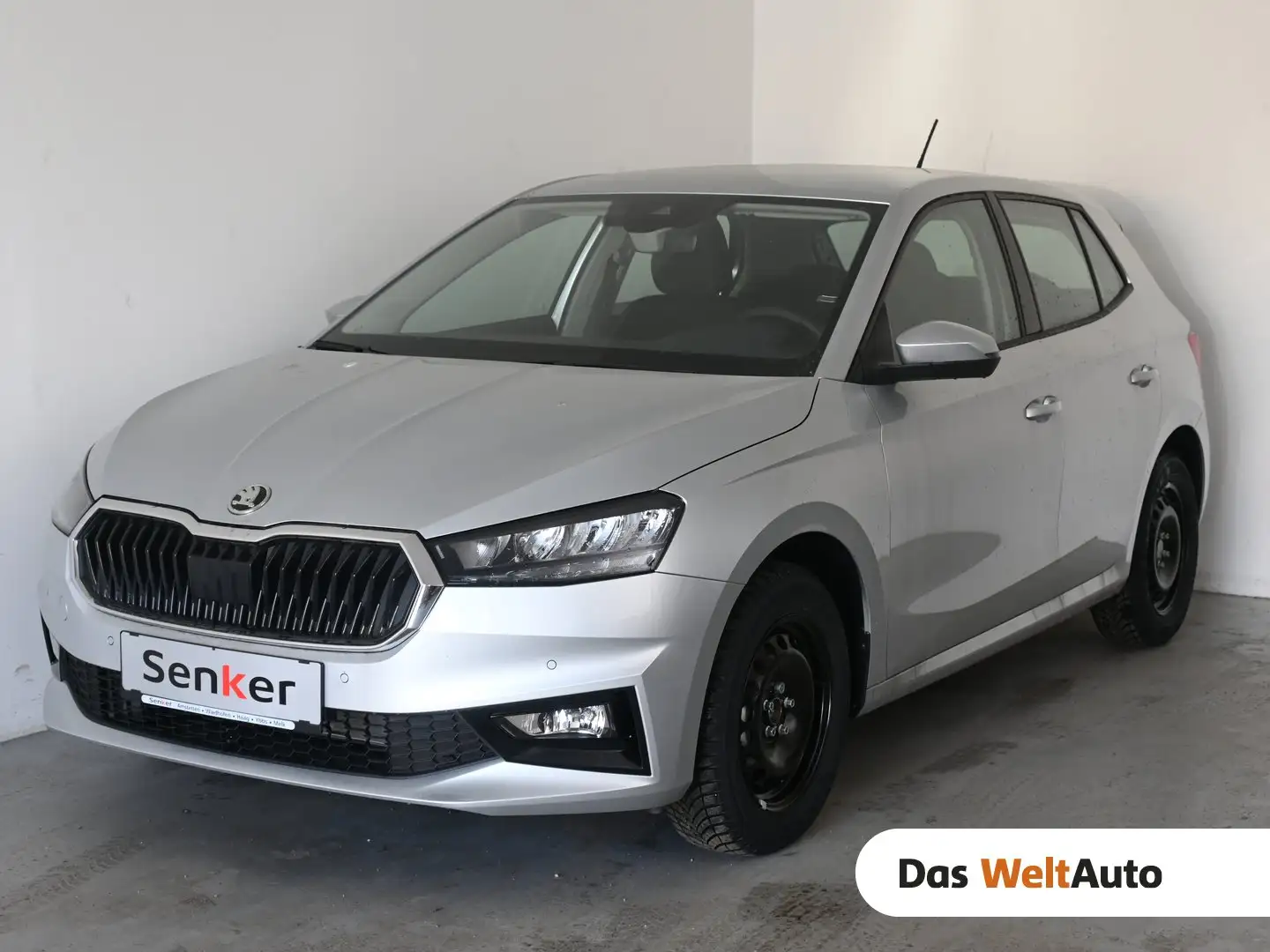 Skoda Fabia Selection Silber - 1