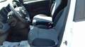 Fiat Panda Panda 4X4 VAN 2 POSTI 0.9 TwinAir 85CV Turbo S&S Wit - thumbnail 4