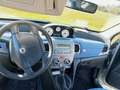 Lancia Y Y 1.2 8v Elefantino Blu Grigio - thumbnail 8