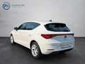 SEAT Leon Style 2.0 TDI Weiß - thumbnail 5