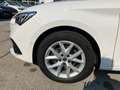 SEAT Leon Style 2.0 TDI Weiß - thumbnail 3