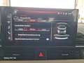 Audi A4 35 TDI Avant S-Tronic - Topzustand! Grau - thumbnail 32