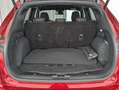 Ford Kuga Kuga Hybrid ST-Line STANDHZG+PANO+NAVI+ACC+HUD+ Rot - thumbnail 11