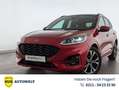 Ford Kuga Kuga Hybrid ST-Line STANDHZG+PANO+NAVI+ACC+HUD+ Rot - thumbnail 1