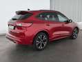Ford Kuga Kuga Hybrid ST-Line STANDHZG+PANO+NAVI+ACC+HUD+ Rot - thumbnail 6