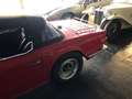 Triumph TR6 Roadster Red - thumbnail 16