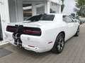 Dodge Challenger Aut. Leder Klima Sitzheizung Weiß - thumbnail 5