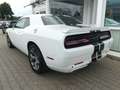 Dodge Challenger Aut. Leder Klima Sitzheizung Weiß - thumbnail 7