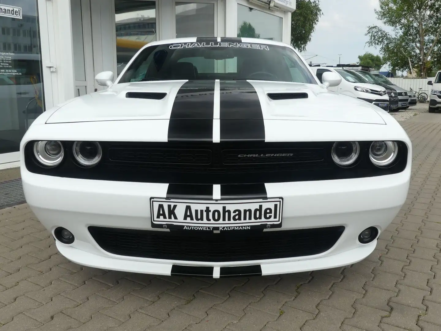Dodge Challenger Aut. Leder Klima Sitzheizung Weiß - 2
