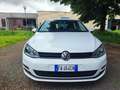 Volkswagen Golf Golf 5p 1.6 DIESEL AUTOMATICO EURO 6 PERFETTA Bianco - thumbnail 2