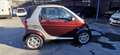 smart forTwo Fortwo Cabrio 0.7 Smart Passion 61cv Marrone - thumbnail 6
