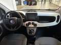 Fiat Panda Pandina Cross 1.0 firefly hybrid PREZZO REALE Noir - thumbnail 17