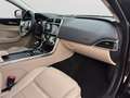 Jaguar XE P250 S|Leder Beige|Winter-Paket|Ambiente Schwarz - thumbnail 12