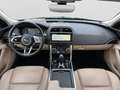 Jaguar XE P250 S|Leder Beige|Winter-Paket|Ambiente Schwarz - thumbnail 9