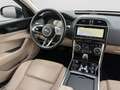 Jaguar XE P250 S|Leder Beige|Winter-Paket|Ambiente Schwarz - thumbnail 10