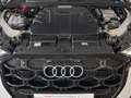Audi Q7 45 TDI qu. tiptronic 2xS LINE/MATRIX/PANO/ACC Weiß - thumbnail 17