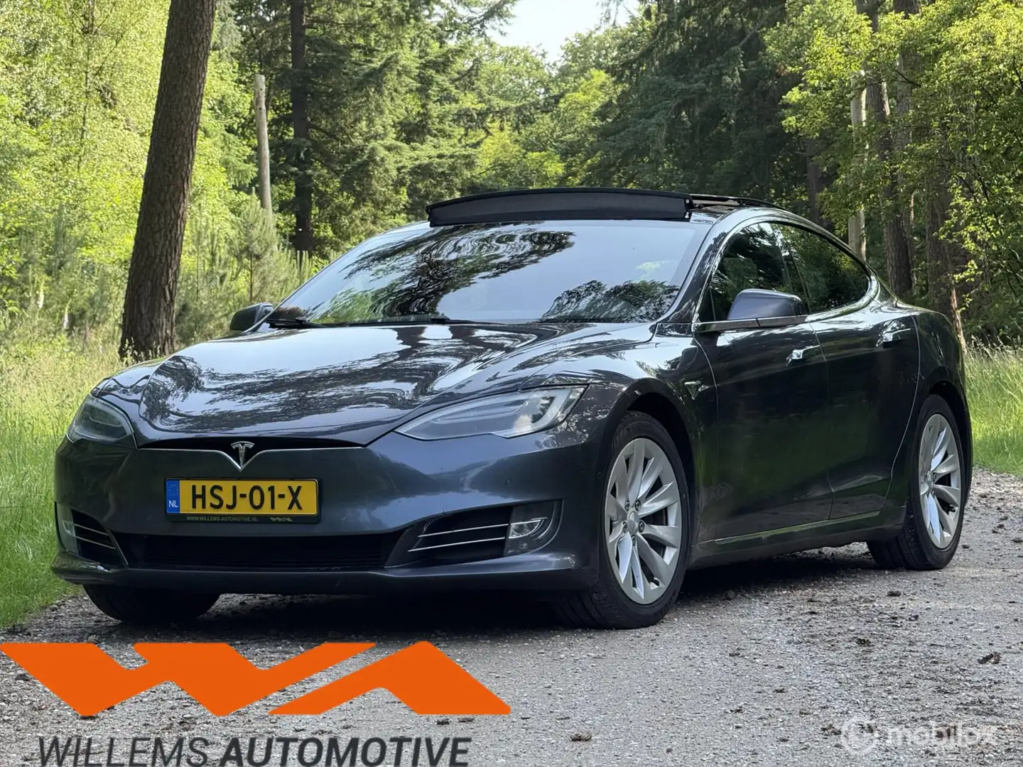 Tesla Model S 75D Autopilot / Full Self Drive / Panoramadak Grau - 1