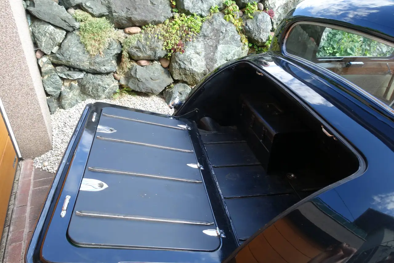 Jaguar, foto 9