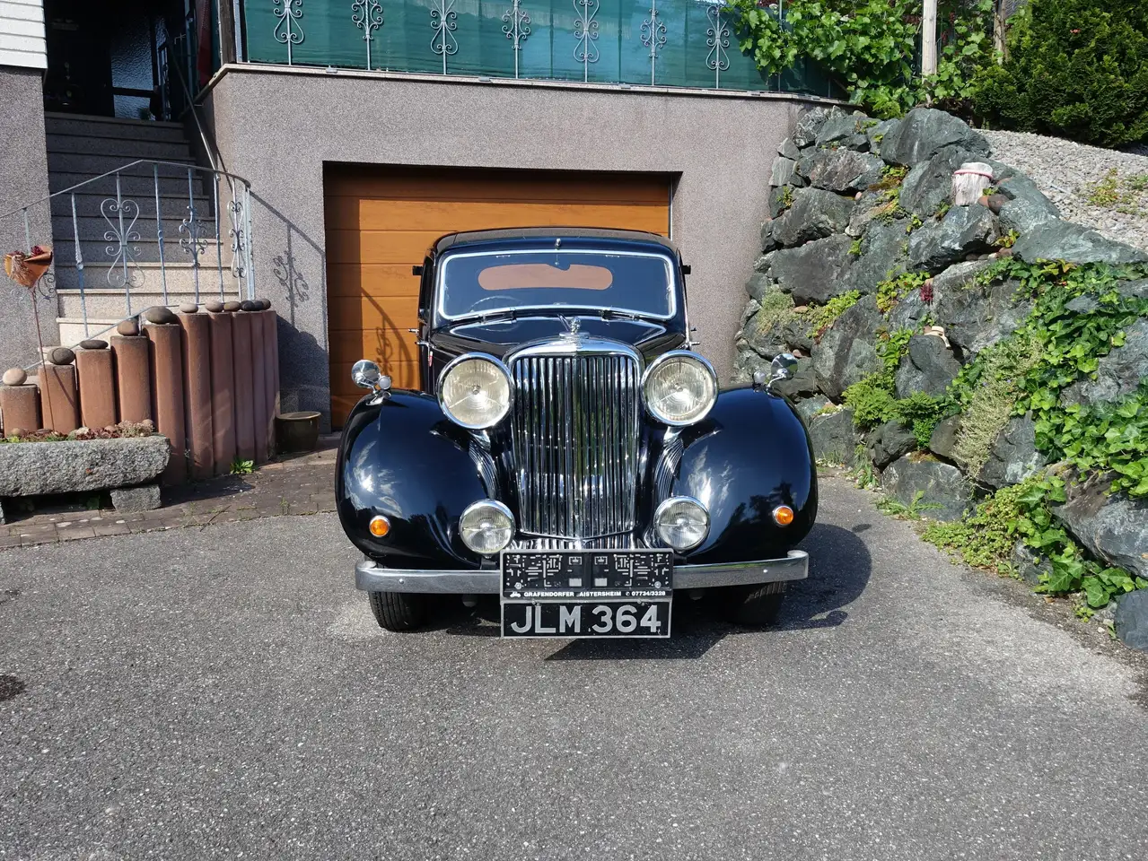 Jaguar, foto 3