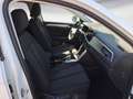 Volkswagen T-Roc 1.0 TSI OPF Life Weiß - thumbnail 5