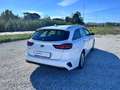 Kia Ceed SW / cee'd SW Ceed SW 1.6 crdi Business Class Techno P Bianco - thumbnail 4