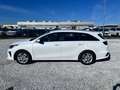 Kia Ceed SW / cee'd SW Ceed SW 1.6 crdi Business Class Techno P Bianco - thumbnail 8