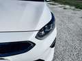 Kia Ceed SW / cee'd SW Ceed SW 1.6 crdi Business Class Techno P Bianco - thumbnail 5