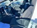 Kia Ceed SW / cee'd SW Ceed SW 1.6 crdi Business Class Techno P Bianco - thumbnail 10