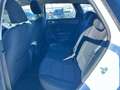 Kia Ceed SW / cee'd SW Ceed SW 1.6 crdi Business Class Techno P Bianco - thumbnail 11