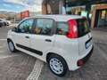 Fiat Panda Panda III 1.2 Easy 69cv E6 Beige - thumbnail 4