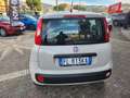 Fiat Panda Panda III 1.2 Easy 69cv E6 Beige - thumbnail 5