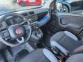 Fiat Panda Panda III 1.2 Easy 69cv E6 Beige - thumbnail 17