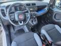 Fiat Panda Panda III 1.2 Easy 69cv E6 Beige - thumbnail 16