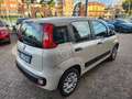 Fiat Panda Panda III 1.2 Easy 69cv E6 Beige - thumbnail 7