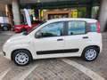 Fiat Panda Panda III 1.2 Easy 69cv E6 Beige - thumbnail 3