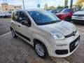 Fiat Panda Panda III 1.2 Easy 69cv E6 Beige - thumbnail 9