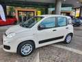 Fiat Panda Panda III 1.2 Easy 69cv E6 Beige - thumbnail 2