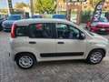 Fiat Panda Panda III 1.2 Easy 69cv E6 Beige - thumbnail 8
