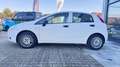 Fiat Grande Punto Blanc - thumbnail 6