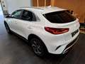 Kia XCeed Xceed 1,0 TGDI GPF Silber Modell 26 115PS Blanc - thumbnail 2